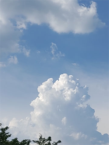 夏の介護