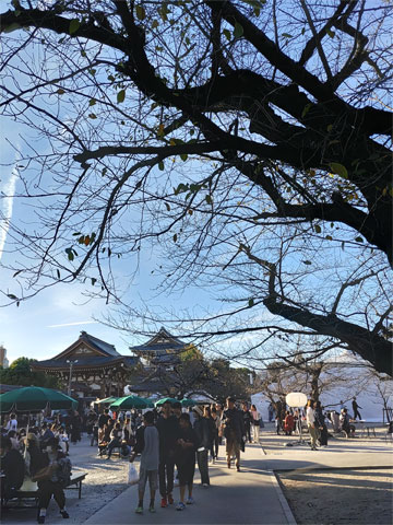お祭りの散策