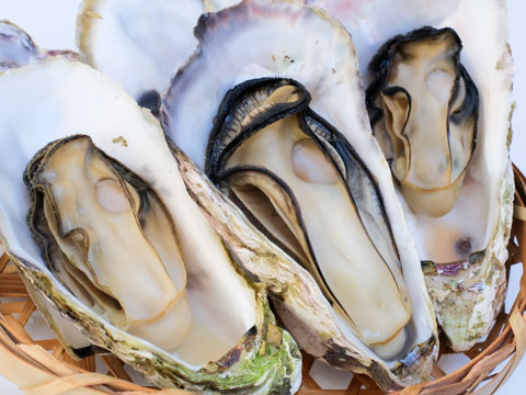 食中毒に注意