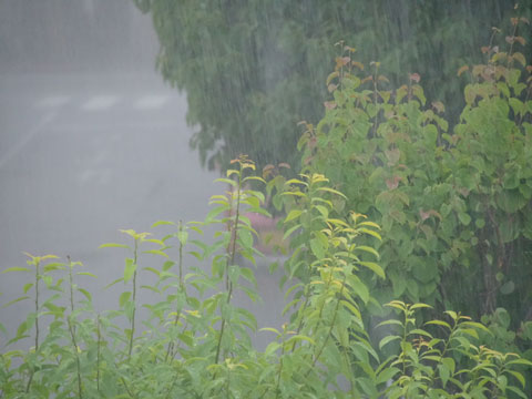 雨天時の訪問