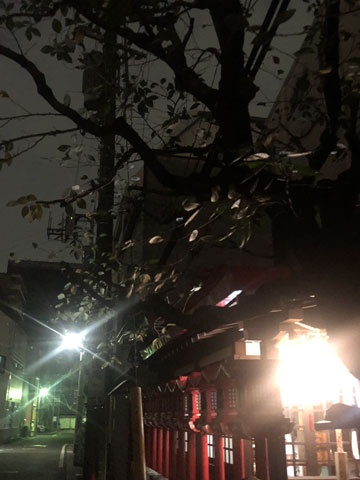 夜間訪問看護