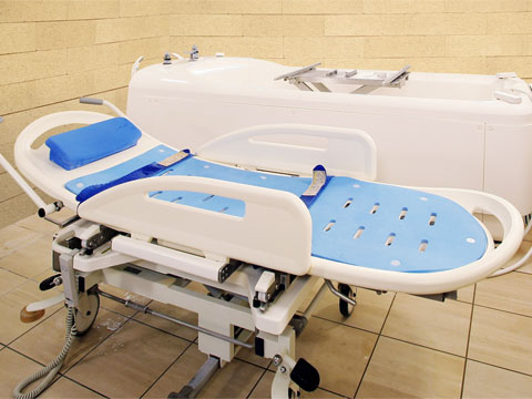 ���{�݂ł̓����